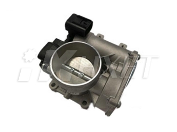 CHEVROLET-24579418,DELPHI-TB10046-Automobile Throttle Body